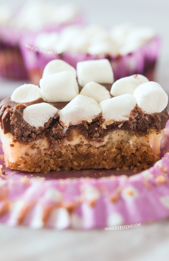 Mini S'mores Cheesecake Recipe