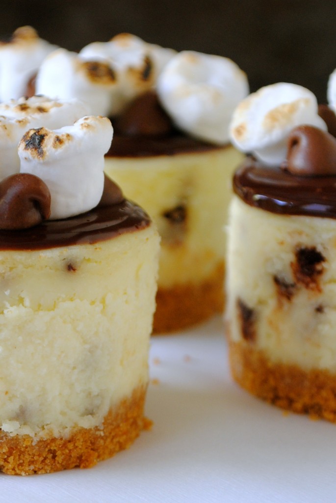 Mini S'mores Cheesecake Recipe