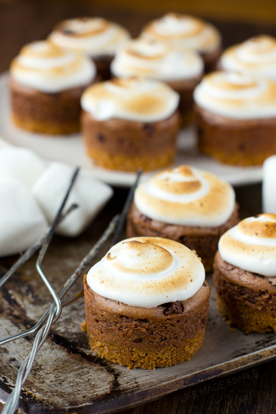 Mini S'mores Cheesecake Recipe