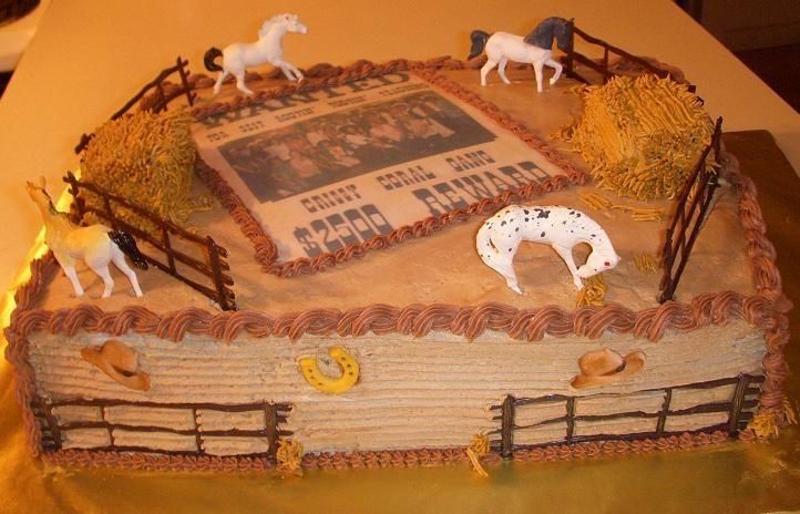 Western Cowboy Theme Sheet Cakes