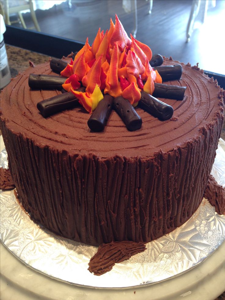 Campfire Birthday Cake Idea