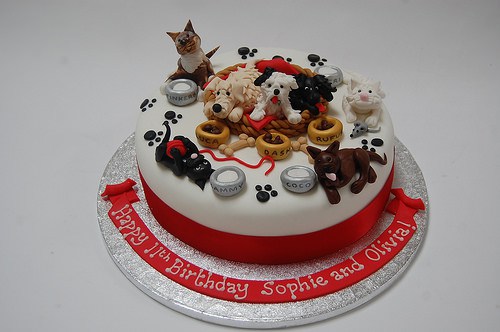 Cats and Dogs with Birthday Cake