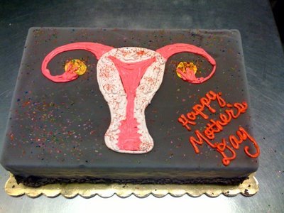 Reproductive System Cake