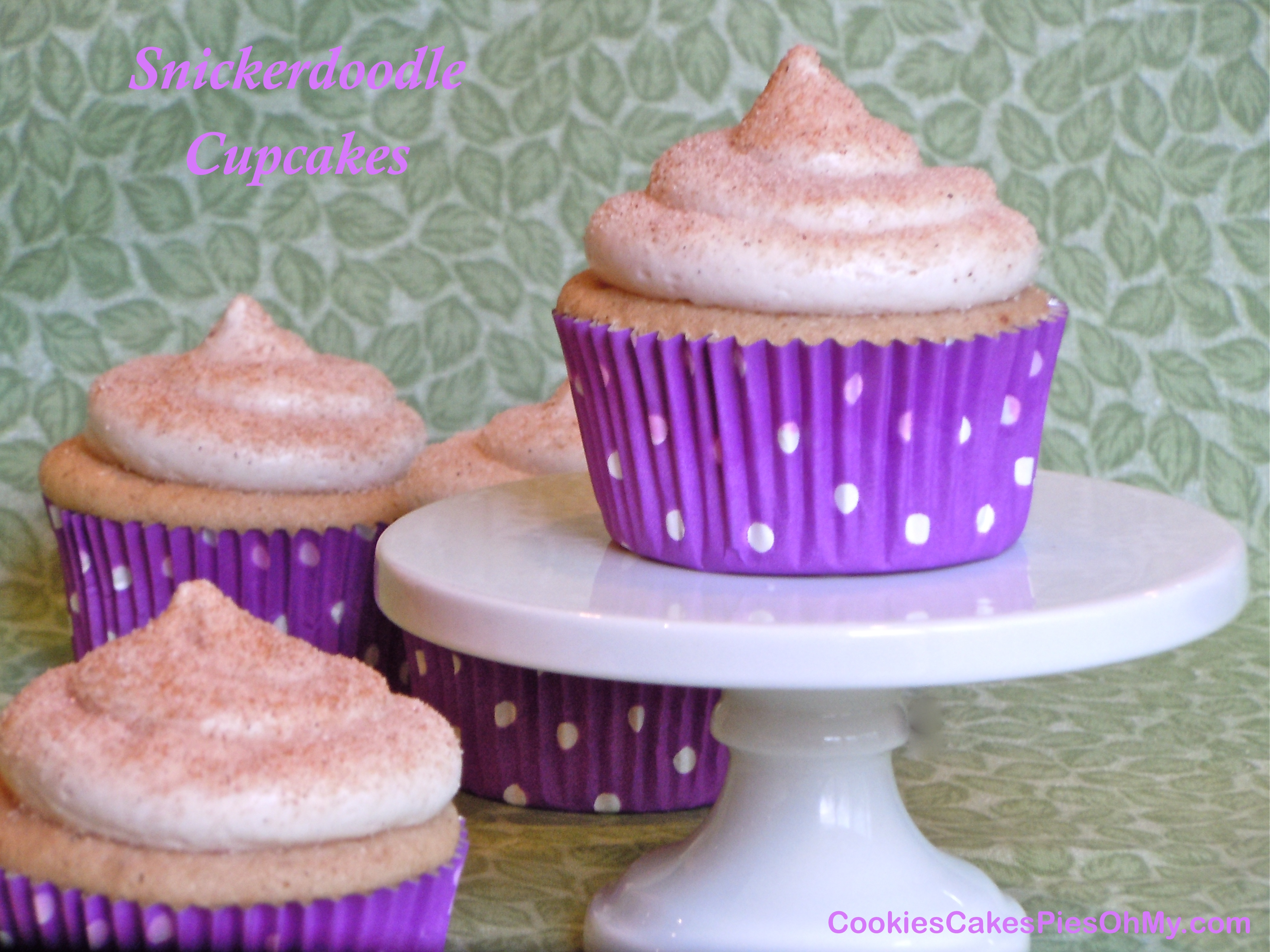 Snickerdoodle Cupcakes with Cinnamon Frosting