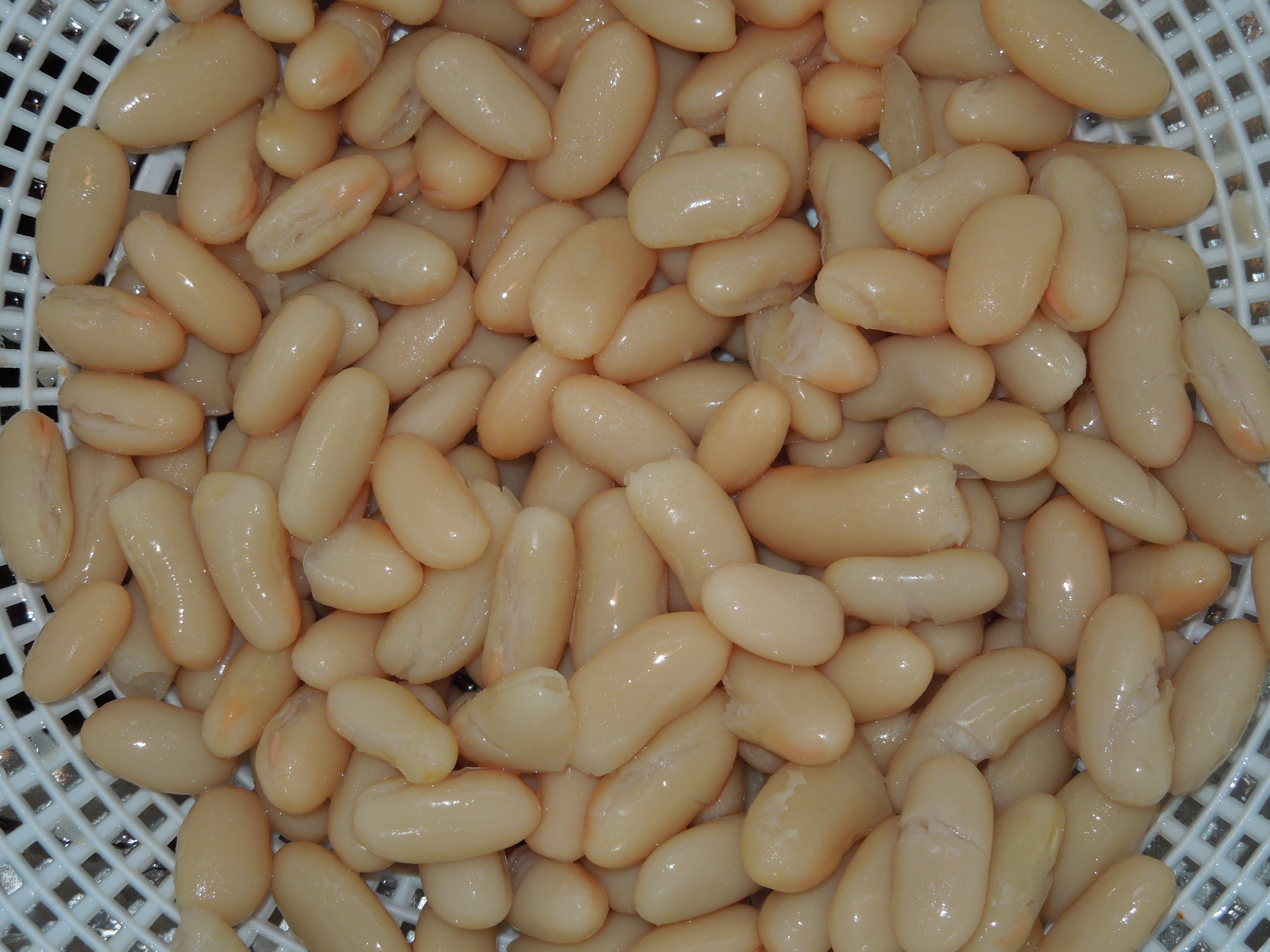 White Beans