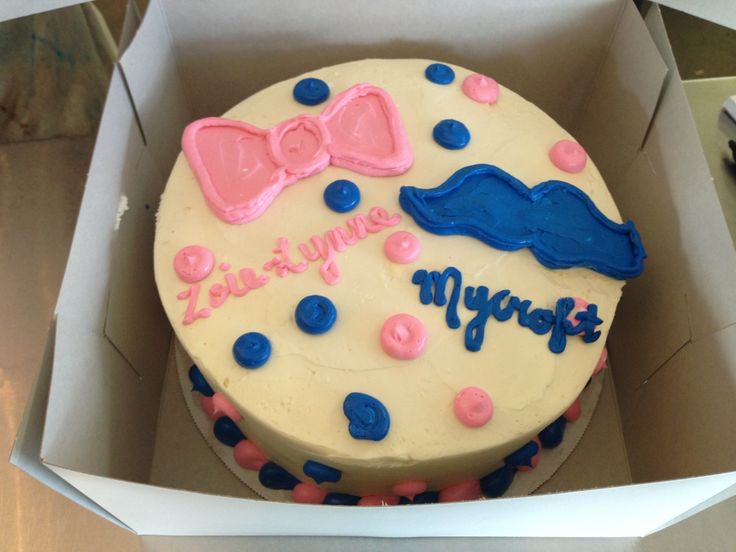 Baby Gender Reveal Cake Idea