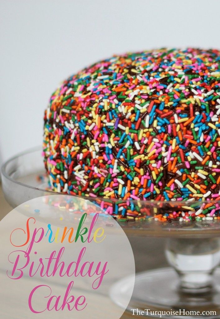 Birthday Cake with Sprinkles