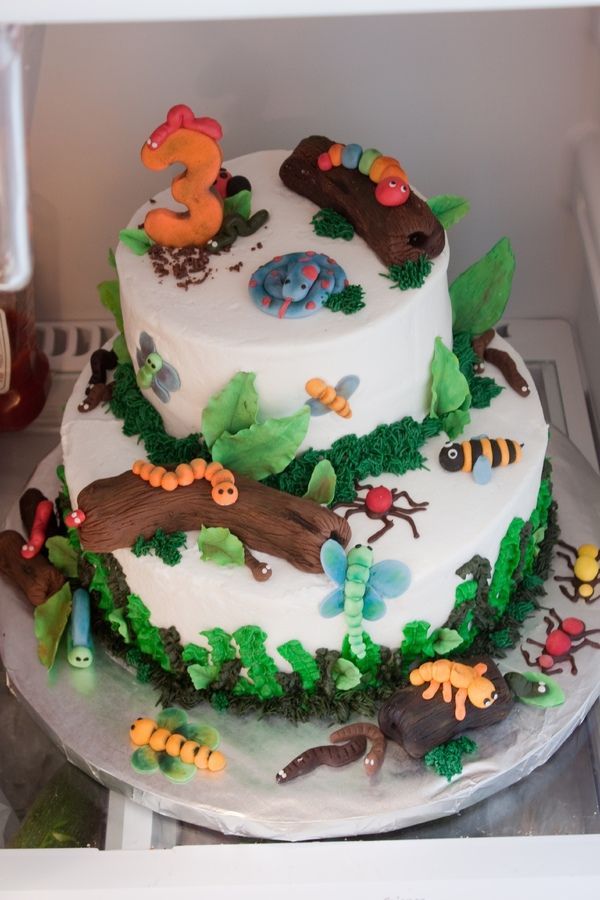 Bug and Worm Birthday Cake Ideas