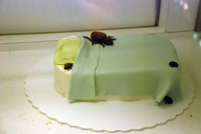 Bugs That Look Like Cakes