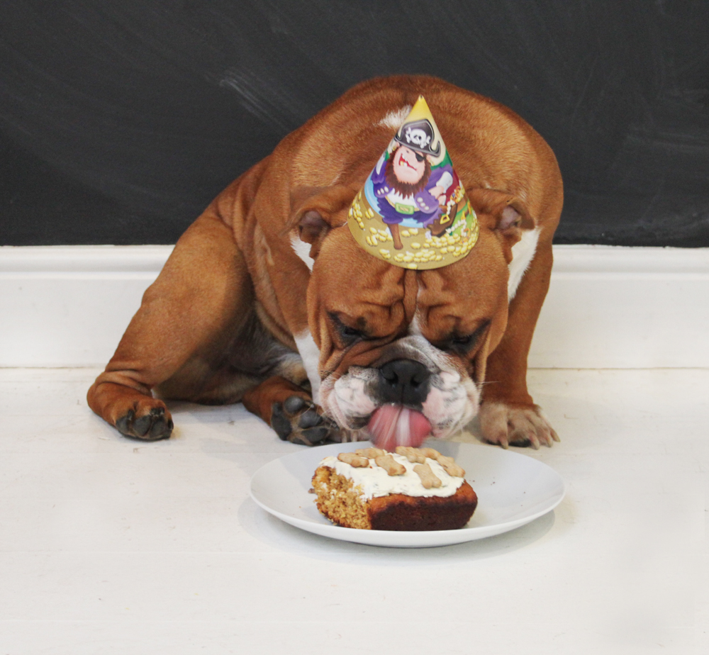 Bulldog Dog Birthday Cake