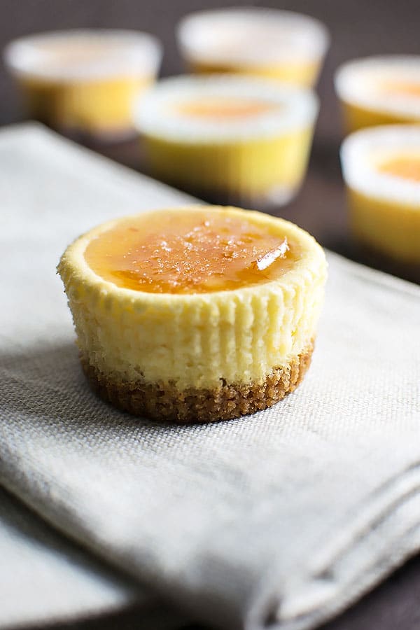 Orange Ricotta Cheesecake