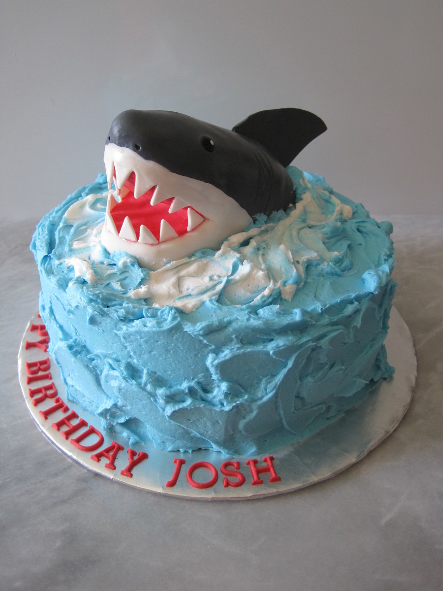 9 Photos of Shark Birthday Party Cakes