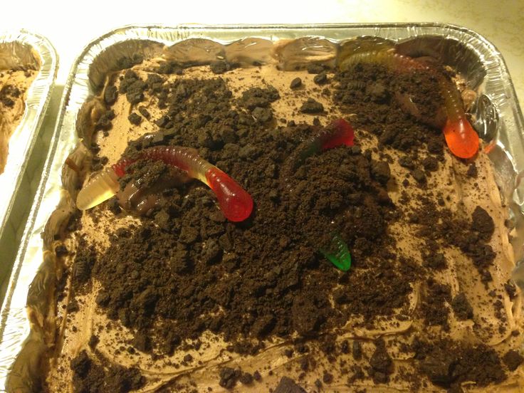 11 Photos of Birthday Cakes Dirt Worm