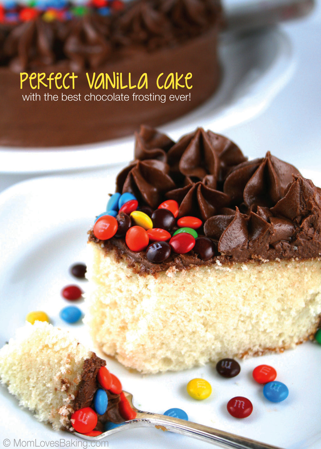 Best Ever Chocolate Cake with Vanilla Frosting