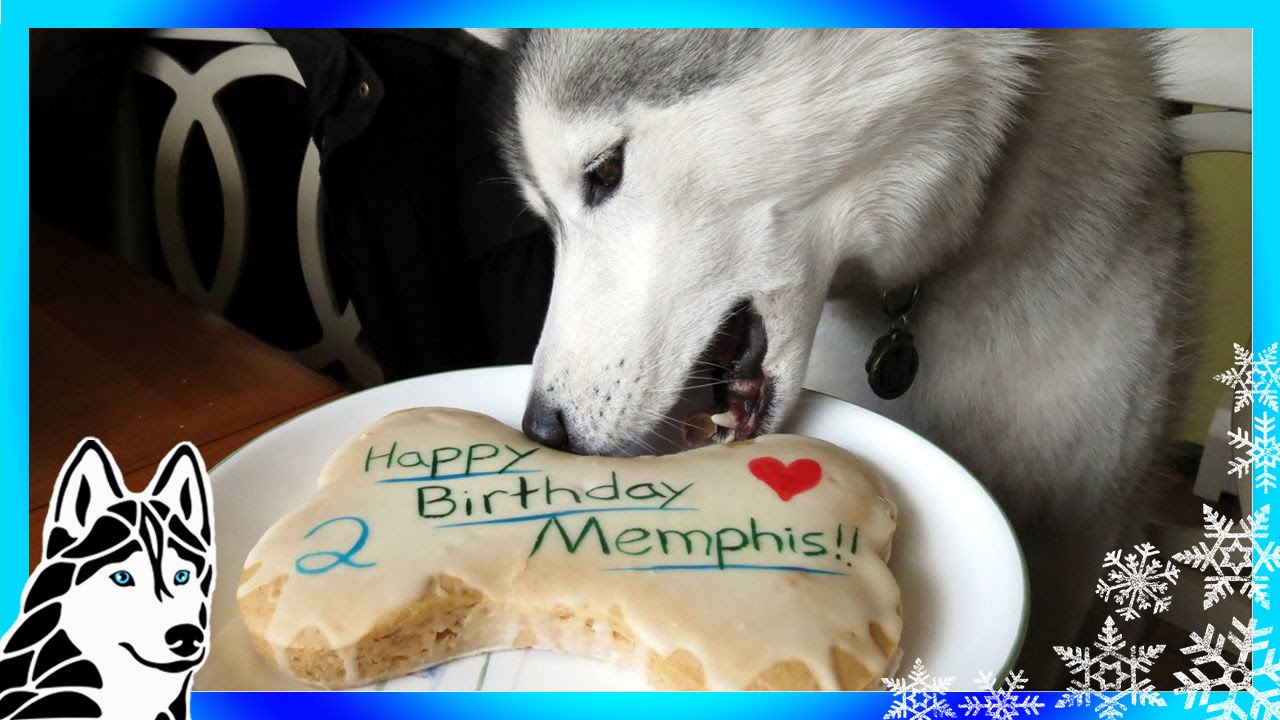 Dog Birthday Cake