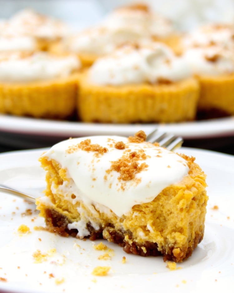 Gingersnap Mini Pumpkin Cheesecake