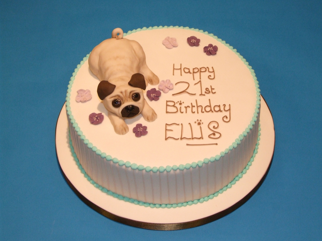 11 Photos of 21st Birthday Cakes For Girls With Pugs