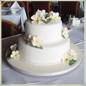 Simple 2 Tier Wedding Cakes