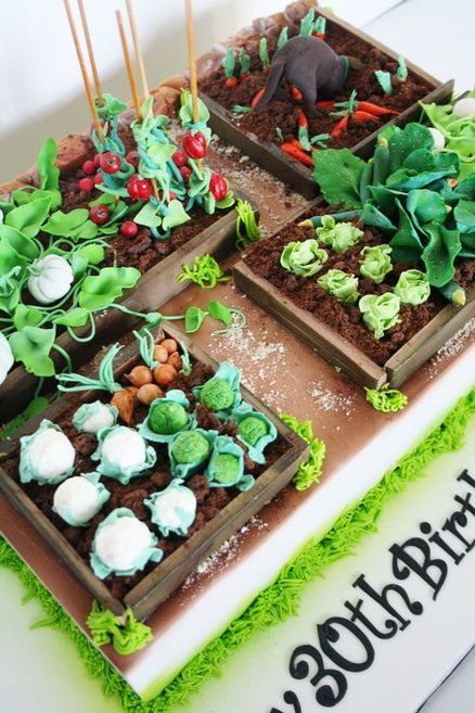 Vegetable Garden Cake