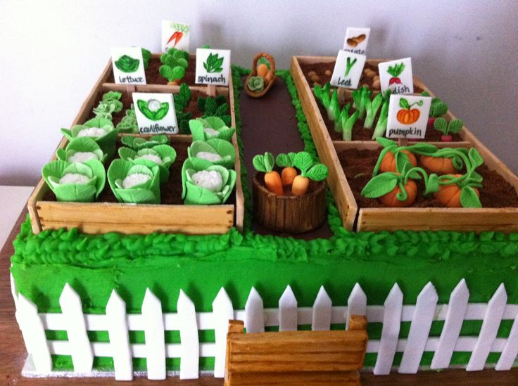 Vegetable Garden Cake