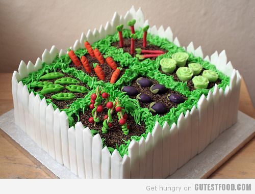 Vegetable Garden Cake