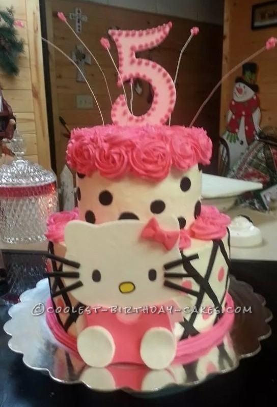 5 Year Old Girl Birthday Cake