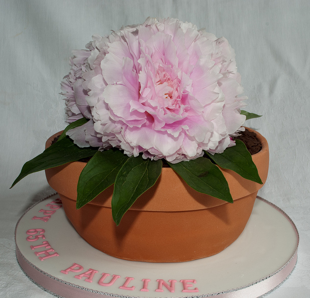 Birthday Cakes with Real Flowers