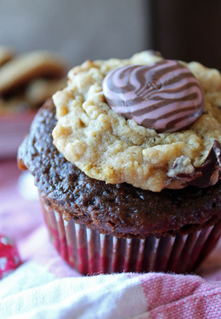 7 Photos of Chocolate Cupcakes With Cheesecake Filling