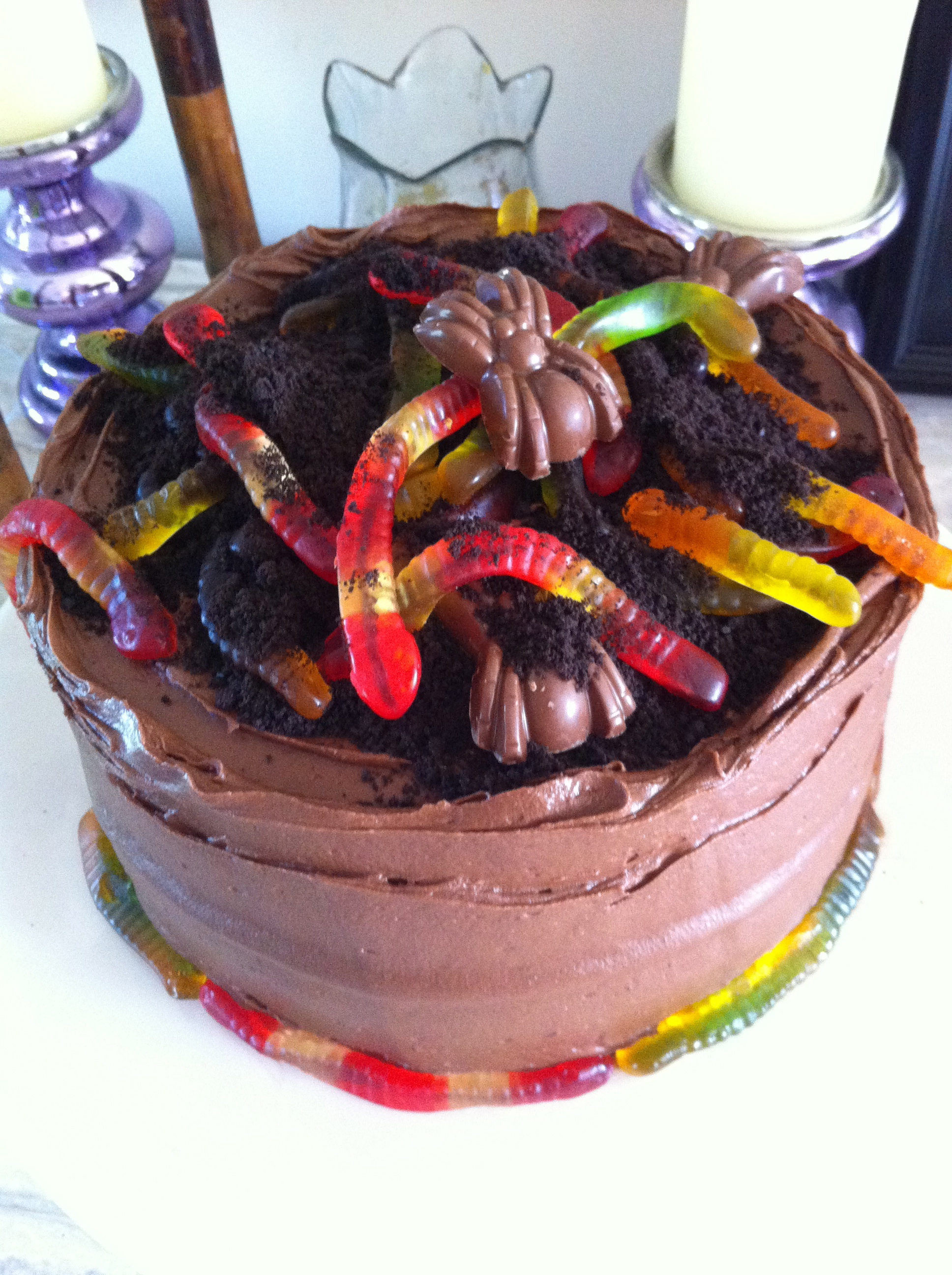 Dirt N' Worms Cake