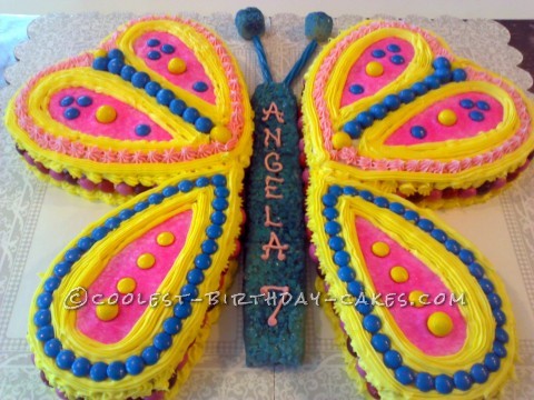 Easy Butterfly Birthday Cake Ideas