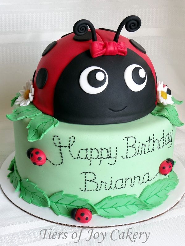 Ladybug Birthday Cake Decoration