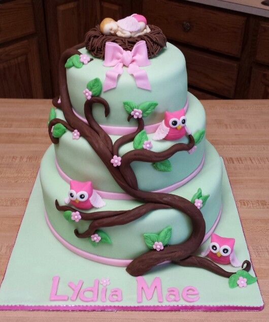 Owl Baby Shower Cake