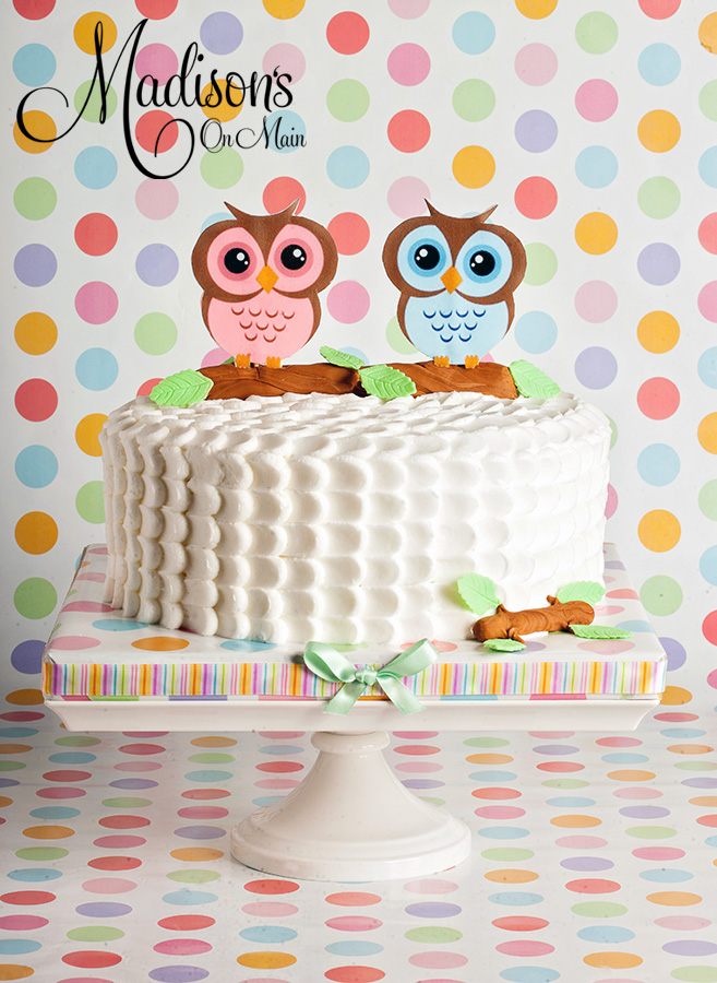 Owl Gender Reveal Baby Shower Cake