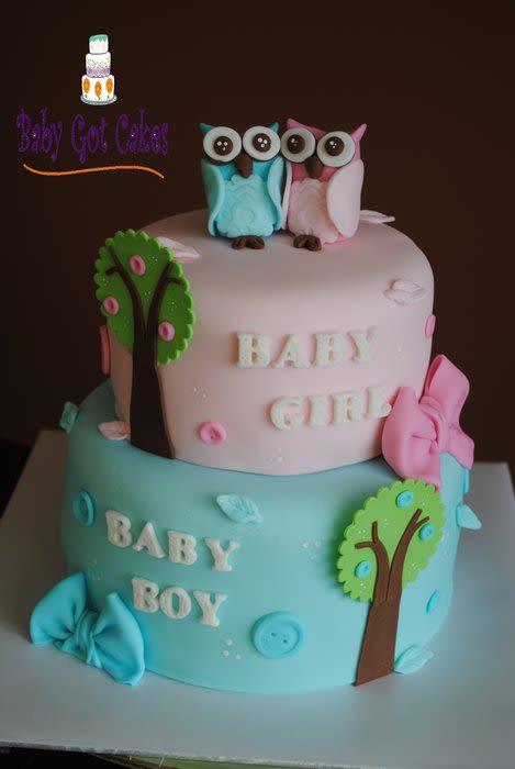 8 Photos of Baby Shower Cakes For Twins With Owls