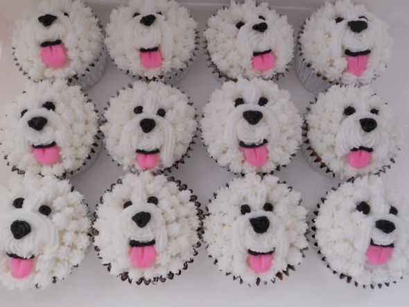 Bichon Frise Cupcakes