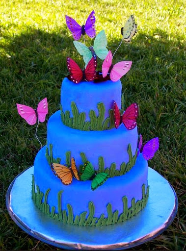 Butterfly Birthday Cake Idea