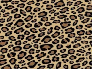 Cheetah Print