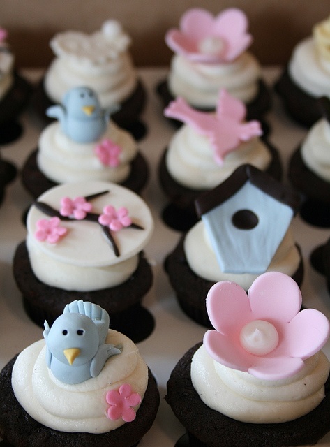 Cupcake Baby Shower Bird Theme