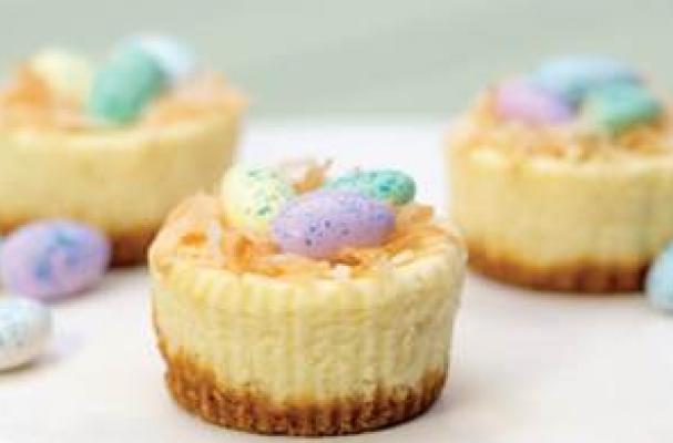 Easter Mini Cheesecakes Philadelphia