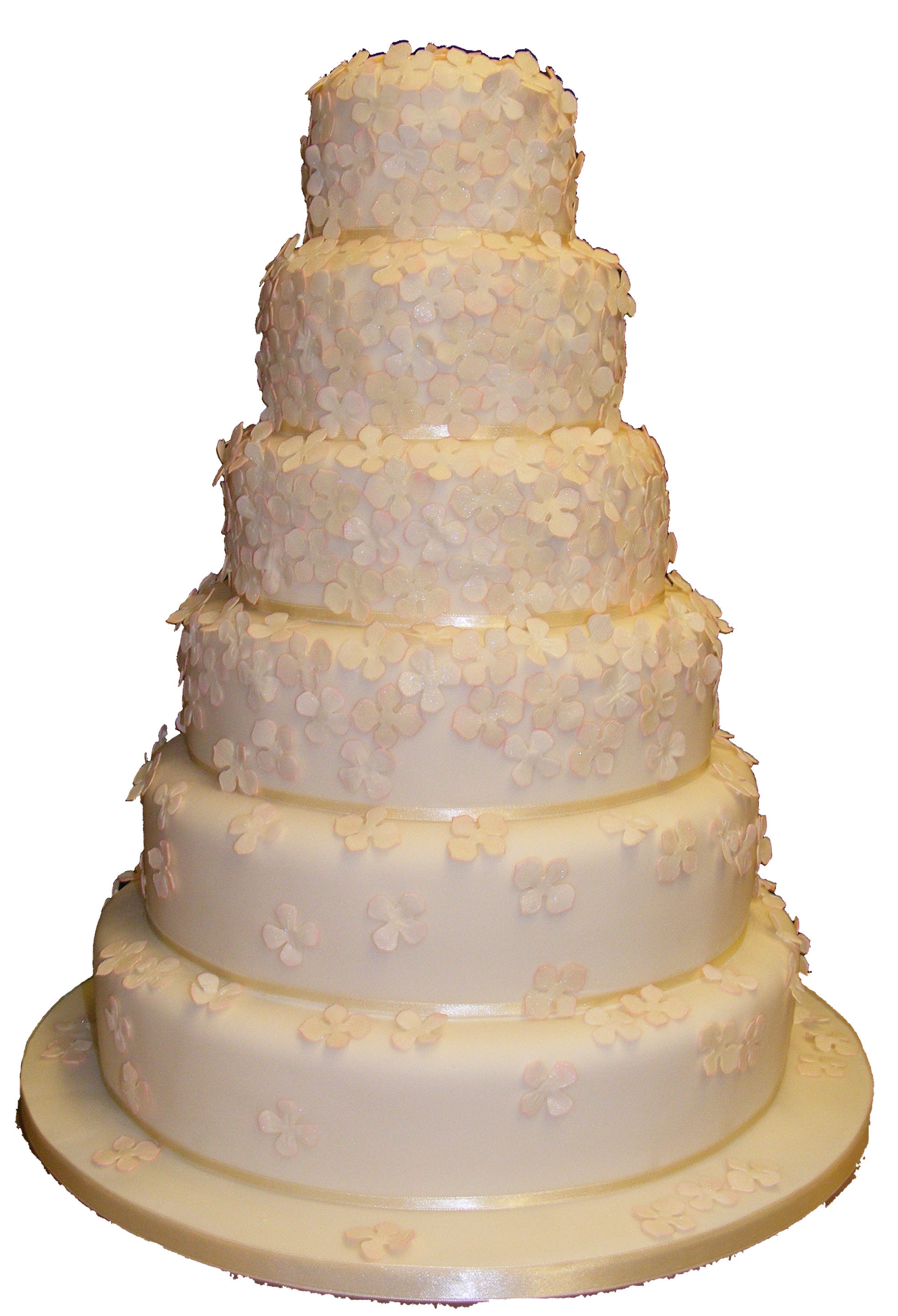 Large Wedding Cake