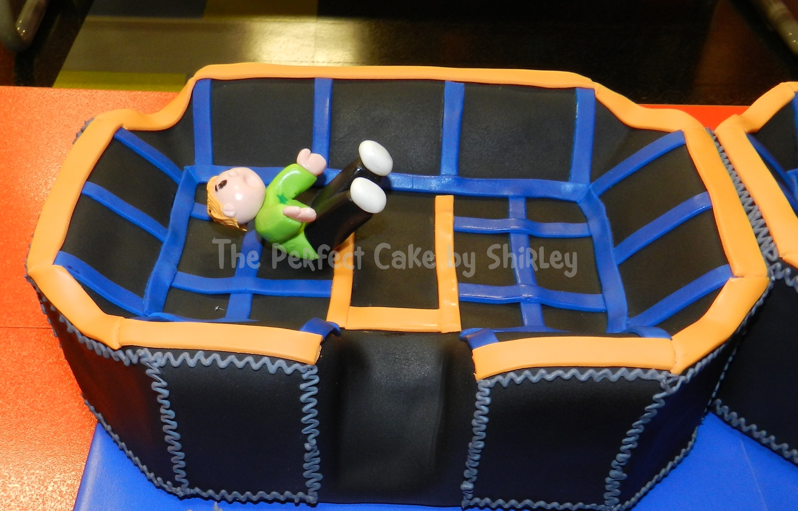 Sky Zone Trampoline Cake