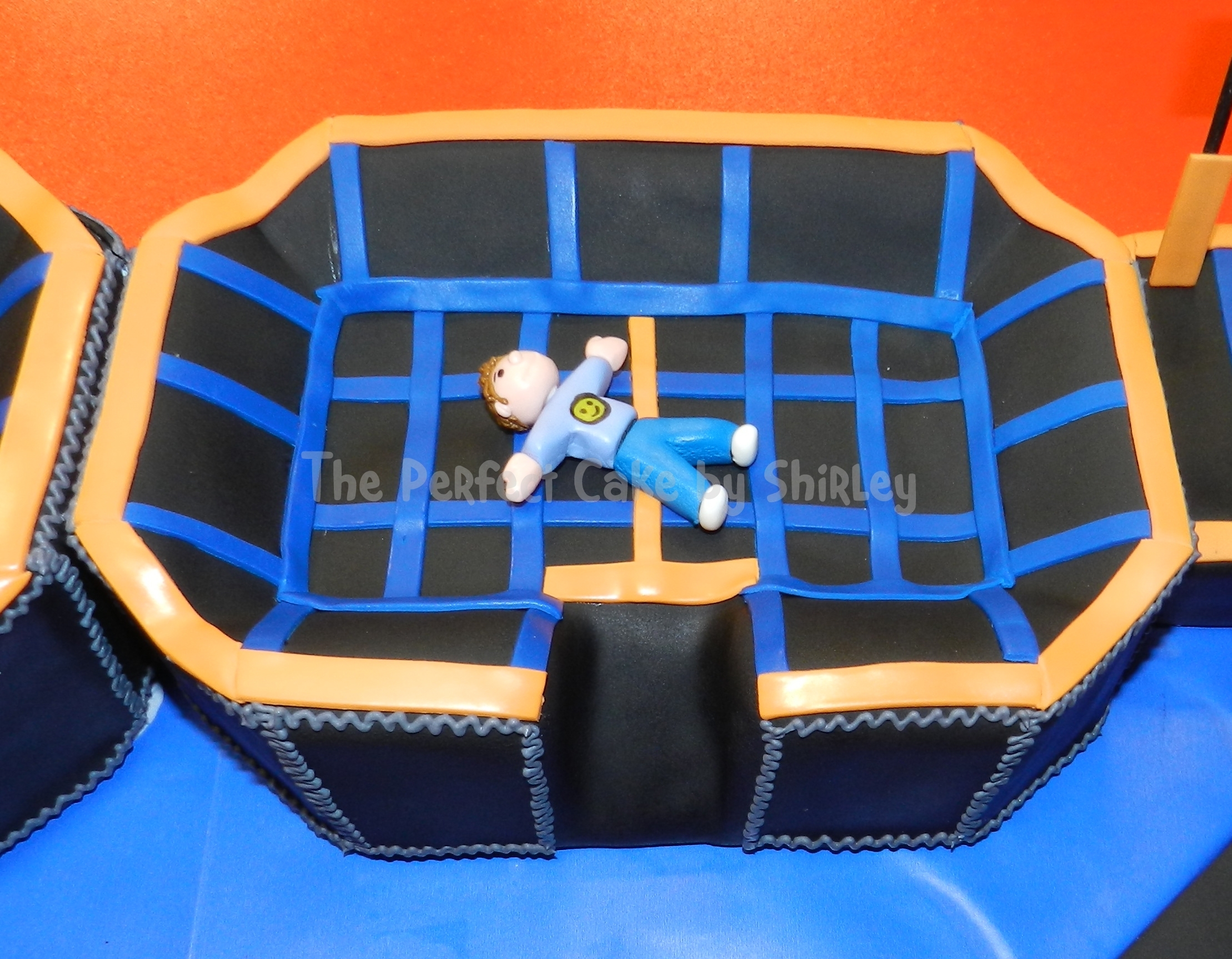 Trampoline Birthday Party Cake