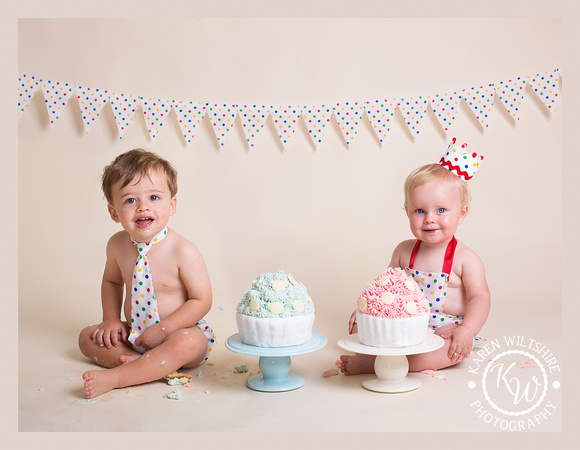 Twins First Birthday Smash Cake