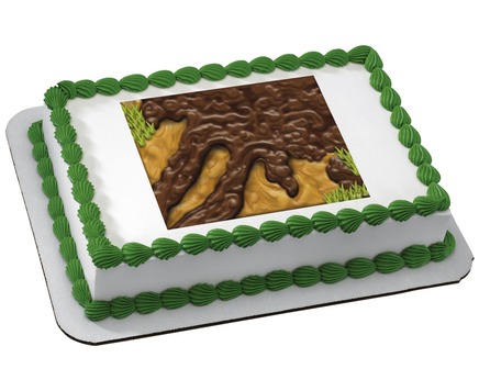 Albertsons Bakery Cakes