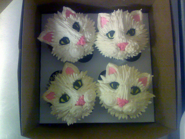 Cat Cupcakes