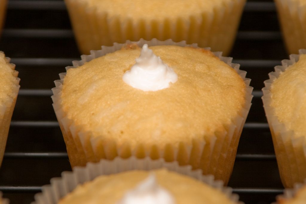 Coconut Cream Cupcakes with Filling