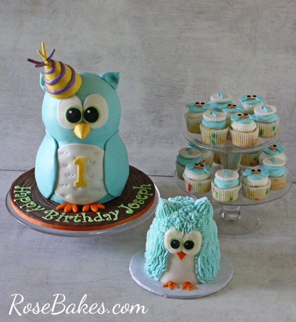 Owl 1st Birthday Smash Cake