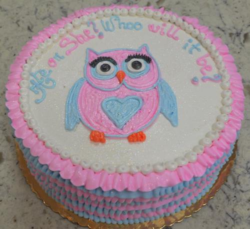 Owl Gender Reveal Cake