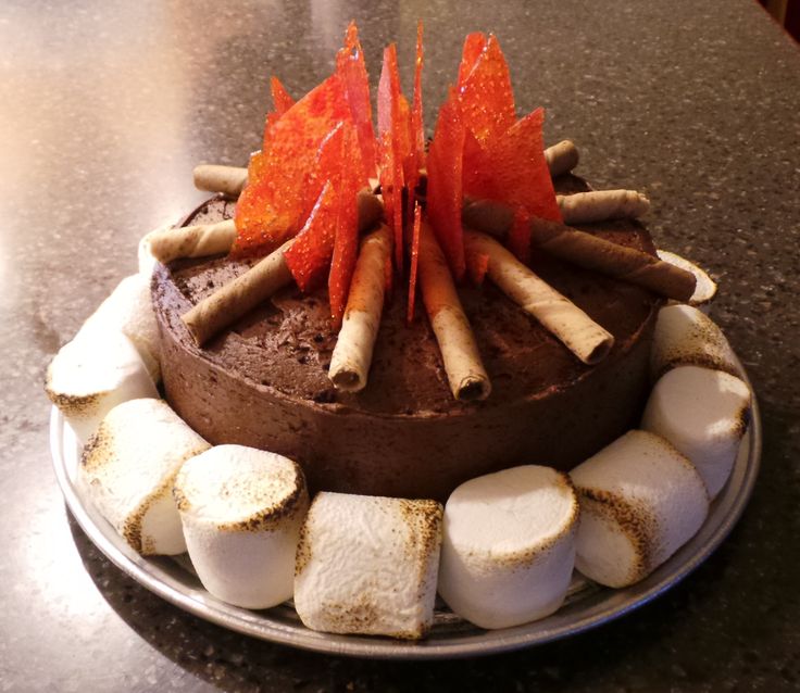 Pinterest Cub Scout Campfire Cake