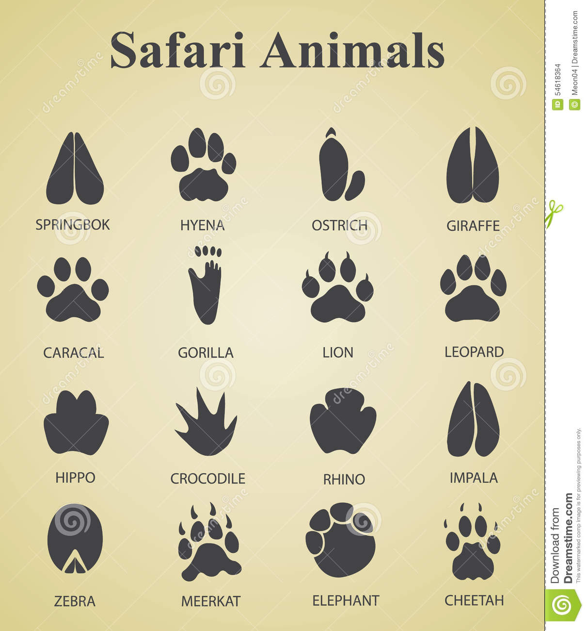 African Safari Animals Tracks